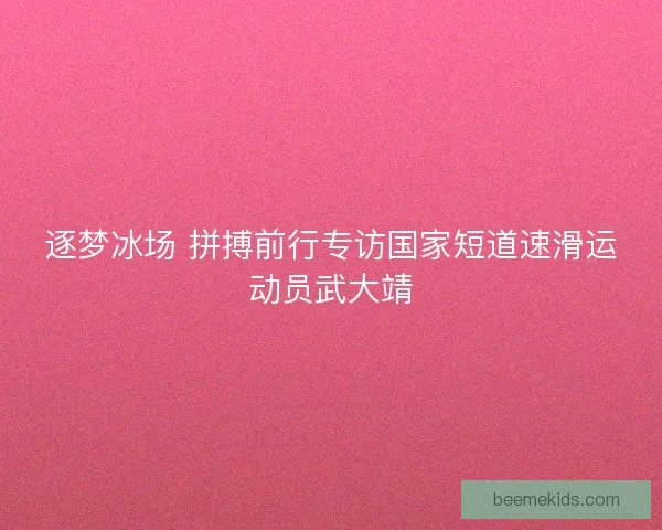 逐梦冰场 拼搏前行专访国家短道速滑运动员武大靖